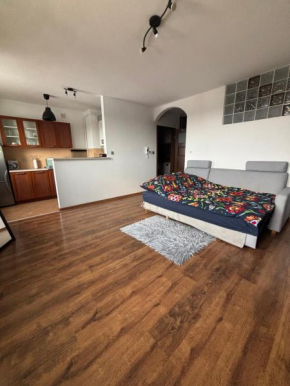 NOWY ZAWISZOW Studio, Świdnica